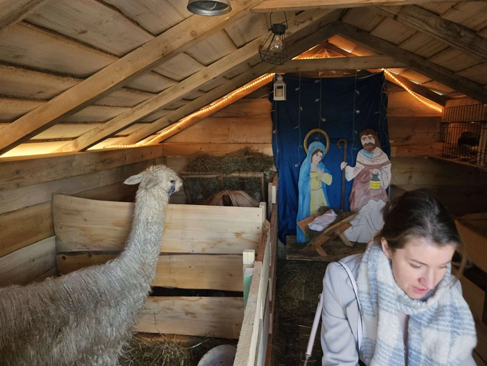 Żywa szopka w Niedźwiedzy