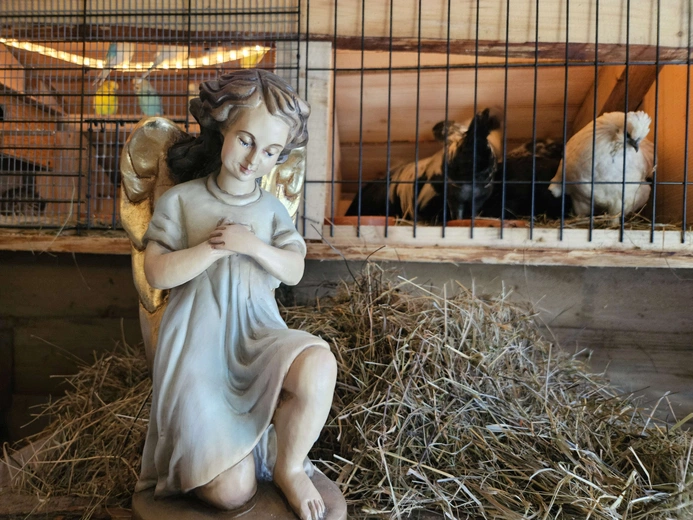 Żywa szopka w Niedźwiedzy