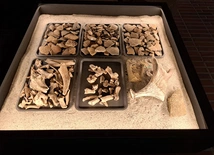Katowice. Niezwykła wystawa. Twierdza sprzed 3700 lat w Muzeum Śląskim