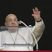 Franciszek