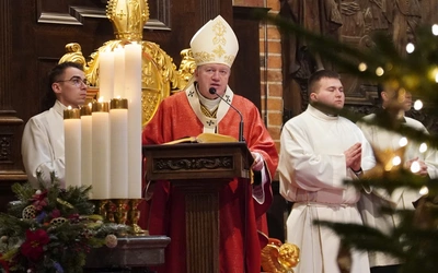Św. Wincenty z Saragossy. Nadzieja i moc pośród udręk
