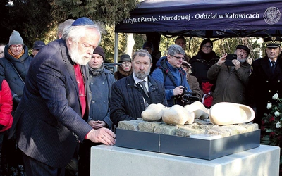 	Lion Tokkie przy monumencie na cmentarzu w Gliwicach-Bojkowie upamiętniającym ofiary Marszu Śmierci.