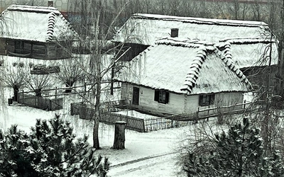 Brak tytułu