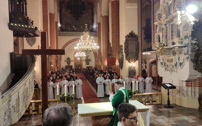 Nowi lektorzy dla diecezji