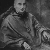 Brak tytułu