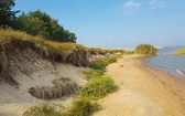 Litwa
