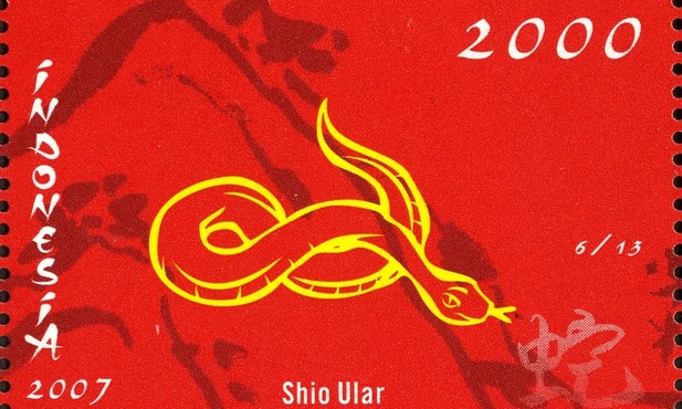 Chiny: Początek Roku Węża