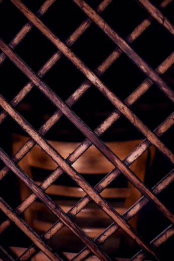 Tajemnice organów trzebnickiej bazyliki