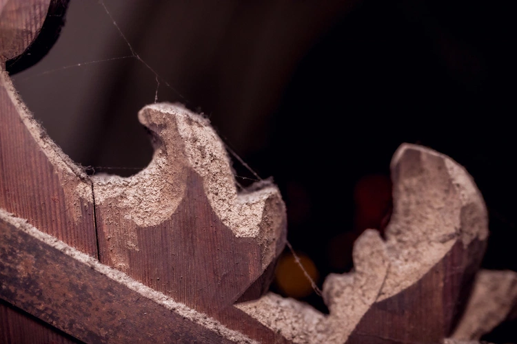 Tajemnice organów trzebnickiej bazyliki