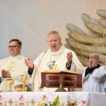 Święcenia kapłańskie na gdańskiej Strzyży