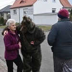 Przez Ostrożnicę z niedźwiedziem