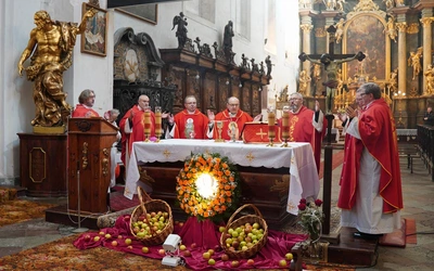 Wypłyń na głębię, idź do niebieskich ogrodów