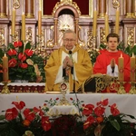 Borkowo Kościelne. Ustanowienie sanktuarium św. Apolonii - cz. I