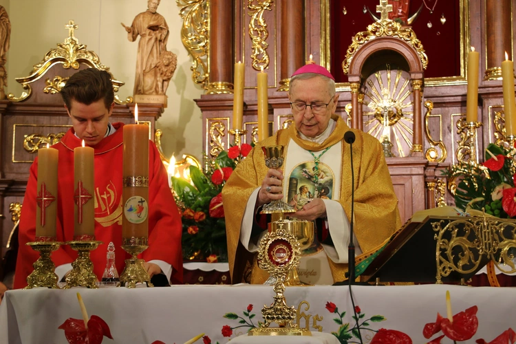 Borkowo Kościelne. Ustanowienie sanktuarium św. Apolonii - cz. II