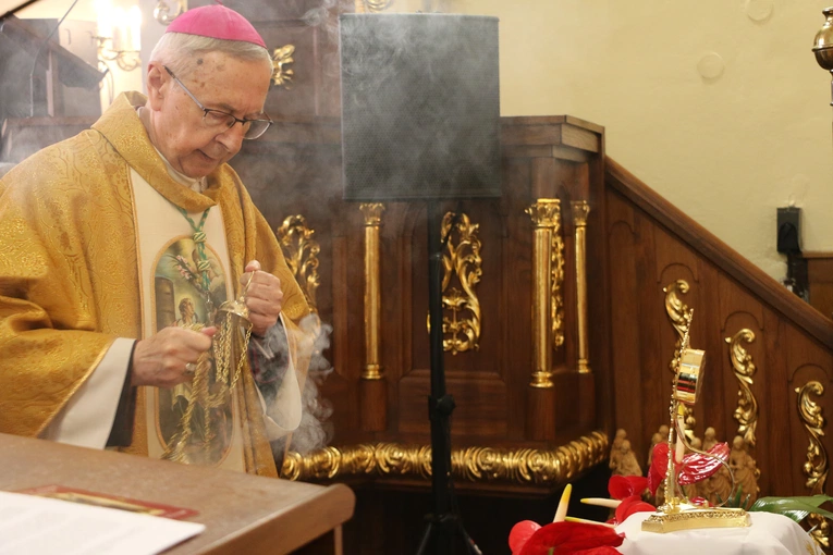 Borkowo Kościelne. Ustanowienie sanktuarium św. Apolonii - cz. II