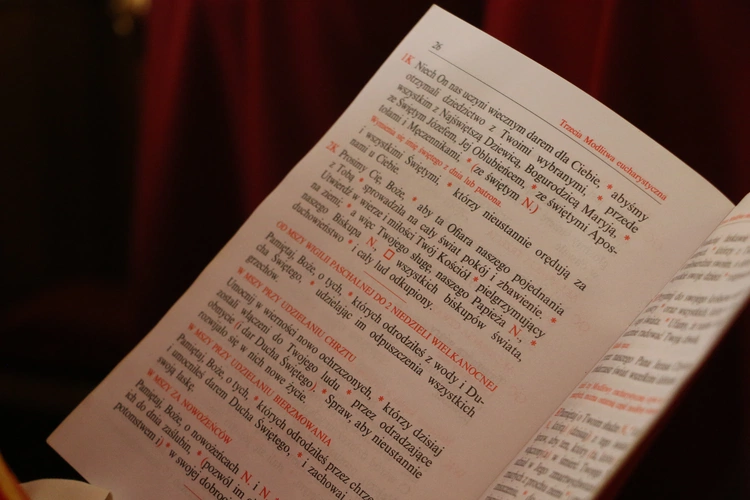 Borkowo Kościelne. Ustanowienie sanktuarium św. Apolonii - cz. II