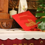 Borkowo Kościelne. Ustanowienie sanktuarium św. Apolonii - cz. II