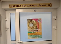 Kaplice szpitalne z odpustami zupełnymi