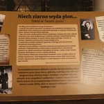 Ulmowie dla Legnicy