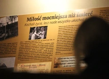 Ulmowie dla Legnicy