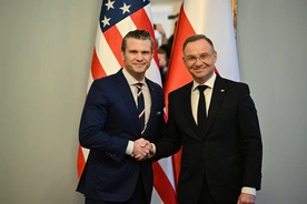Sojusznicy