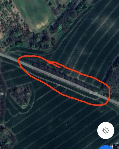 Pszów. Wycinka starych dębów. Sprzeciw mieszkańców