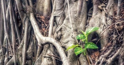 Uczestnicy będą otwierać się przed Bogiem na uzdrowienie więzi rodzinnych.