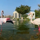 Bahrajn
