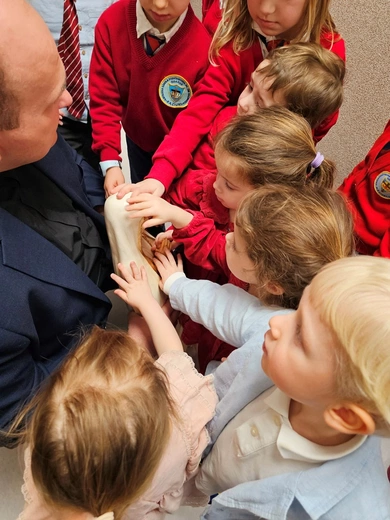 Błogosławieństwo figury Matki Bożej Fatimskiej
