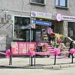 Panie na koniach 