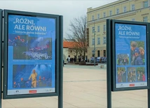 Wspólne świętowanie i solidarność