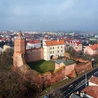Ceglane mury dawniej otaczała fosa zasilana wodami Bzury. Dziś zamek stoi w miejskim parku
