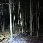 II Leśna Droga Krzyżowa w Głubczycach