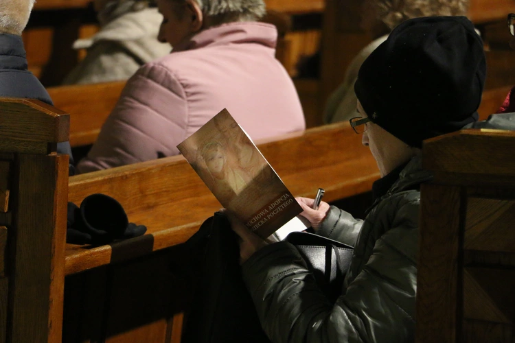 Ciechanów. Dzień Świętości Życia 