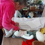 Zające z Krzywego Koła - jak powstają i gdzie zamieszkały