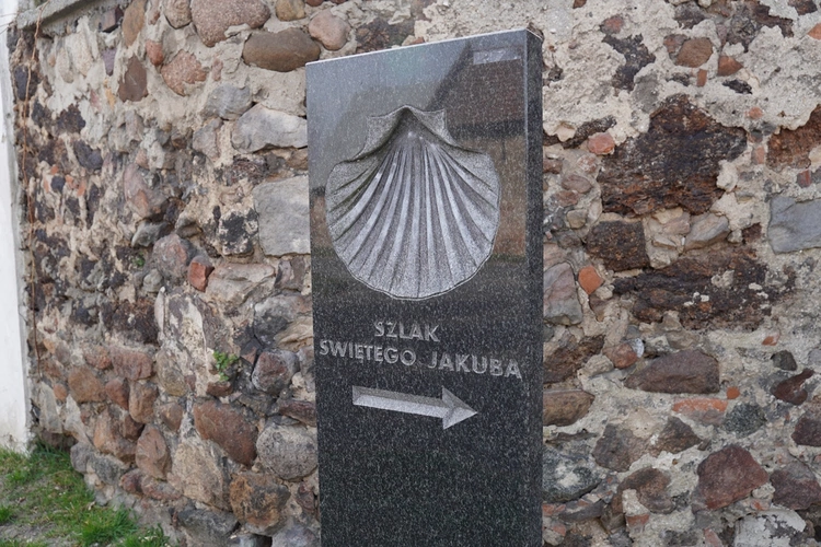 Małujowice. Pod znakiem muszli i troski o życie