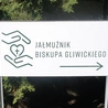 Ubogich zawsze mieć będziecie…