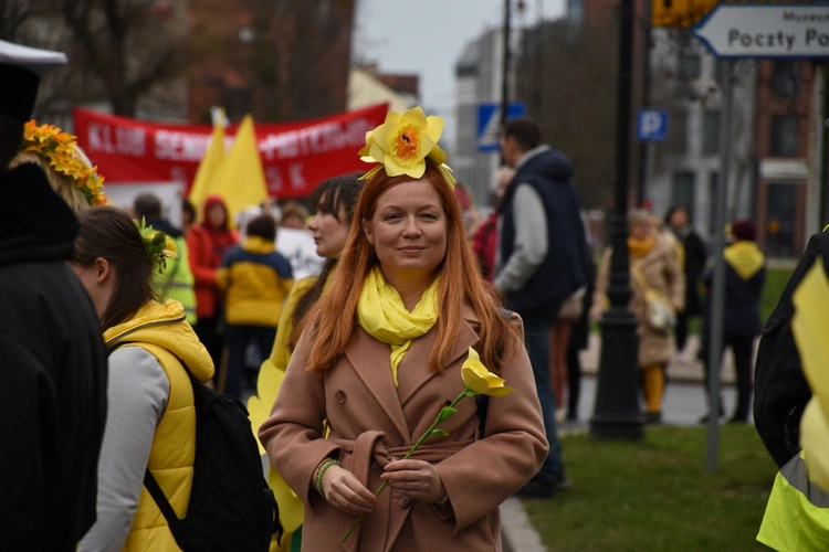 Żonkilowa Parada w Gdańsku