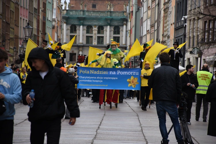 Żonkilowa Parada w Gdańsku
