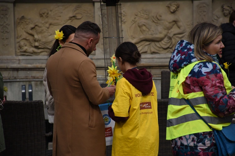 Żonkilowa Parada w Gdańsku