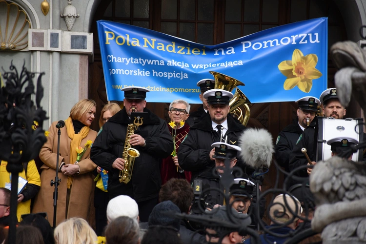 Żonkilowa Parada w Gdańsku