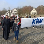 Trwaj i pozwól przetrwać innym