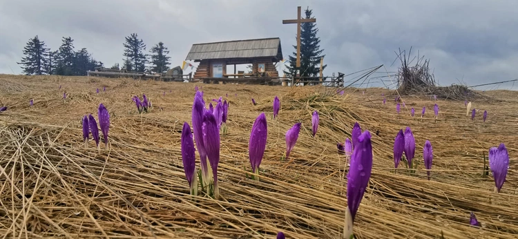 Podhalańskie wspomnienie Jana Pawła II 