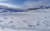 Grenlandia