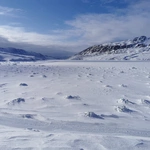 Grenlandia