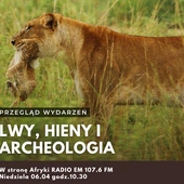 Lwy, hieny i archeologia, czyli przegląd bieżących wydarzeń