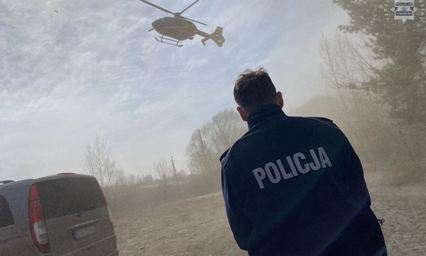 Śląskie. 14-latek przygnieciony konarem drzewa. Jest w bardzo ciężkim stanie