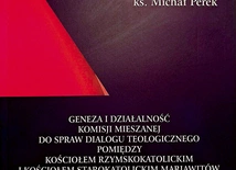 Ks. Michał Perek Gojenie ran Płocki Instytut Wydawniczy Płock 2024 ss. 164