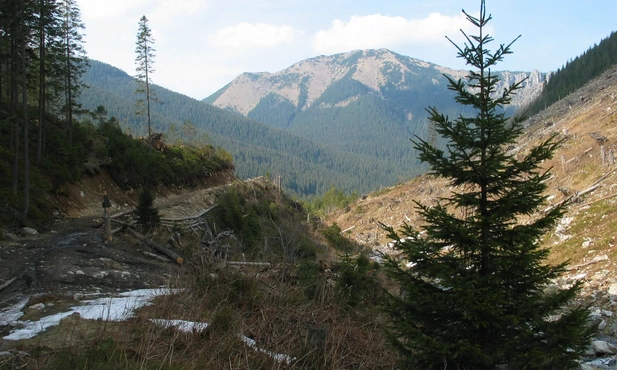 Tatry