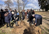 Kokoszyce. Młodzi zasadzili nowe drzewa w parku